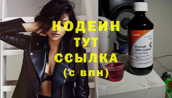 амф Аркадак